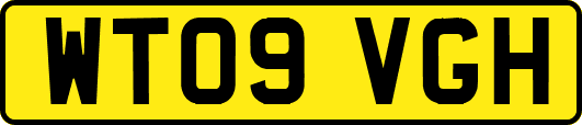 WT09VGH