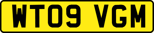 WT09VGM