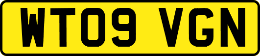 WT09VGN