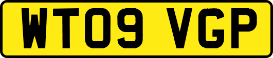 WT09VGP