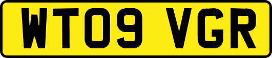 WT09VGR
