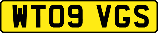 WT09VGS