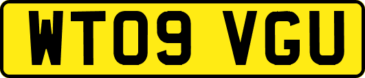 WT09VGU