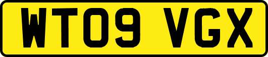 WT09VGX