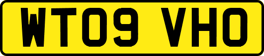 WT09VHO