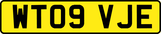 WT09VJE