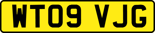 WT09VJG