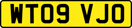 WT09VJO