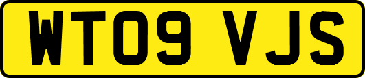 WT09VJS