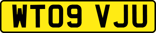WT09VJU