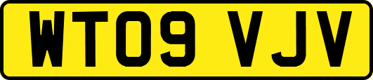 WT09VJV