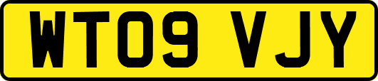 WT09VJY