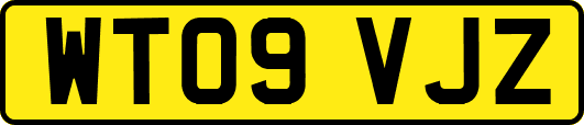 WT09VJZ
