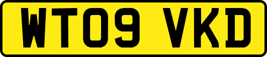 WT09VKD
