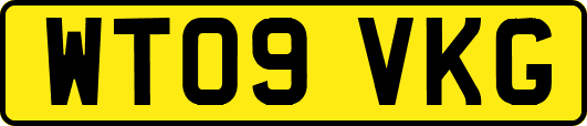 WT09VKG