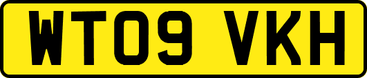 WT09VKH