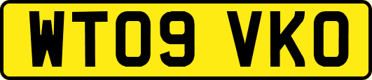 WT09VKO