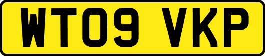 WT09VKP