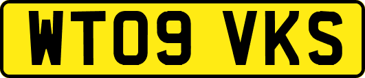 WT09VKS
