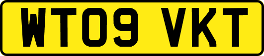 WT09VKT