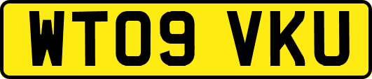 WT09VKU