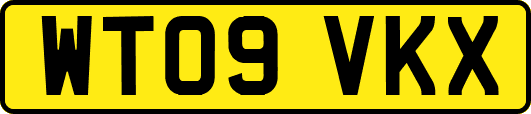 WT09VKX