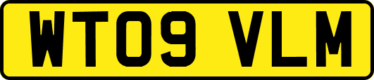 WT09VLM