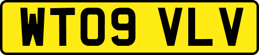 WT09VLV