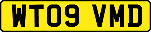 WT09VMD
