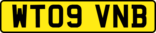 WT09VNB