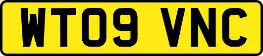 WT09VNC