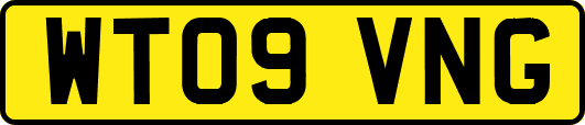 WT09VNG