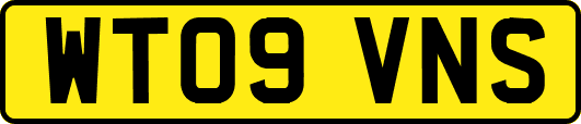 WT09VNS