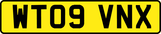 WT09VNX