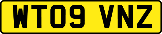 WT09VNZ