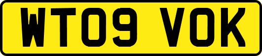 WT09VOK