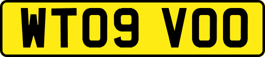 WT09VOO