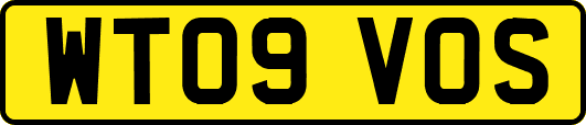 WT09VOS