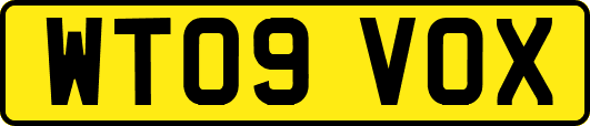 WT09VOX