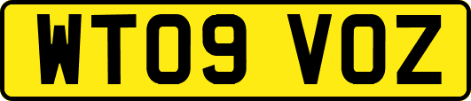 WT09VOZ