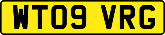 WT09VRG