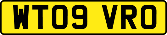WT09VRO