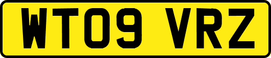 WT09VRZ