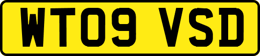 WT09VSD