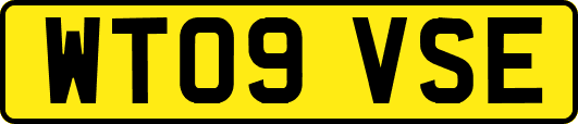 WT09VSE