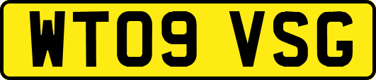 WT09VSG