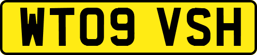 WT09VSH