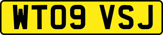 WT09VSJ