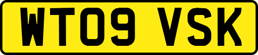 WT09VSK