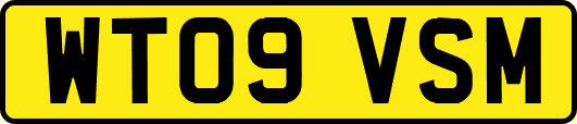 WT09VSM